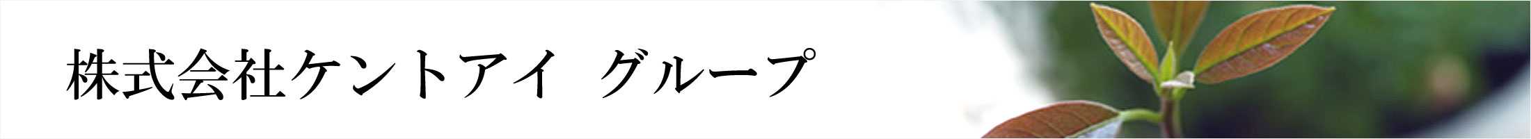 株式会社ケントアイグループ